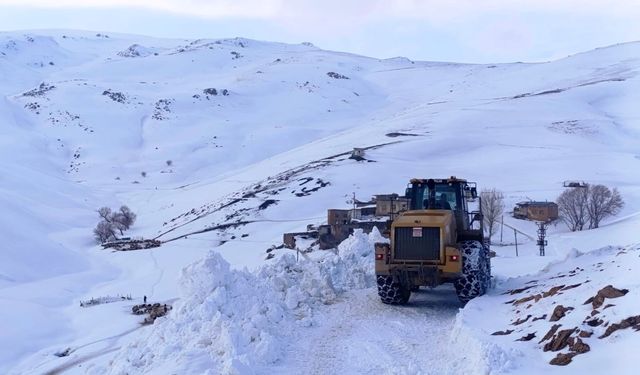 Van'da kardan dolayı kapanan 34 yerleşim yerinin yolu açılıyor