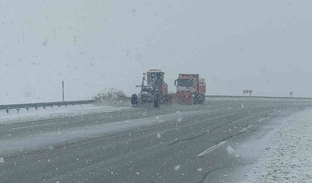 Van'ın yüksek kesimlerde lapa lapa kar yağdı