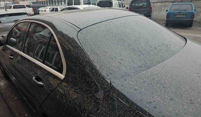 Zonguldak'ta gökten çamur yağdı