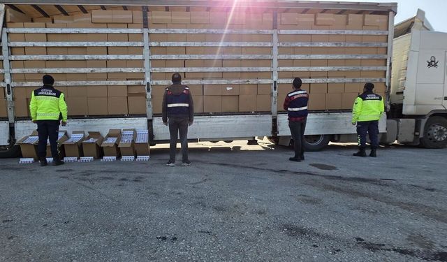 İzmir'de 500 bin paket kaçak sigara ele geçirildi, 3 şüpheli tutuklandı