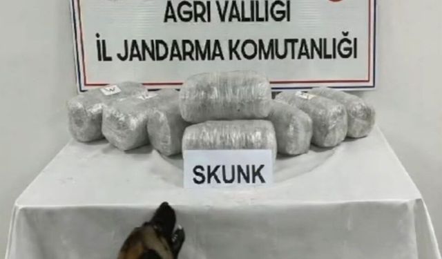 Ağrı'da 10 kilogram skunk ele geçirildi, 1 şüpheli tutuklandı