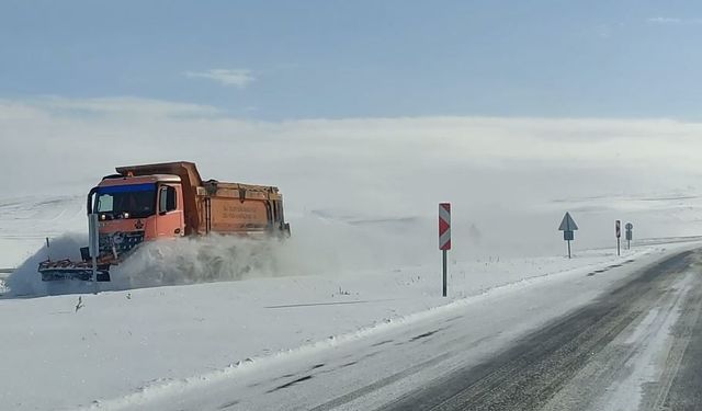 Ardahan'da kar ve tipi ulaşımı aksatıyor