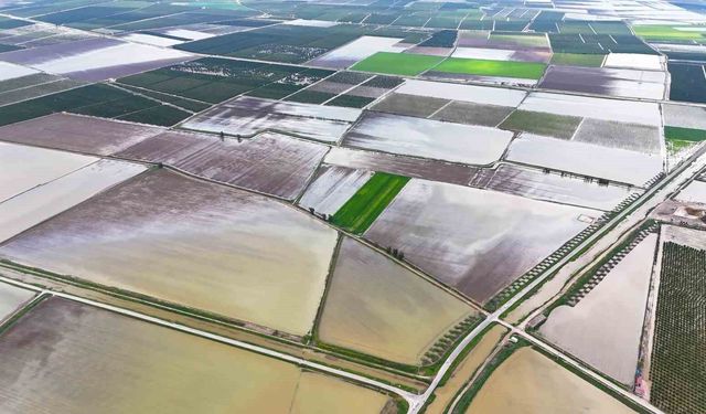 Çukurova'yı yağmur vurdu: Tarım arazileri sular altında