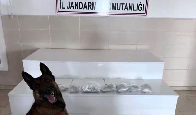 İçişleri Bakanlığı: 'Van ve Hakkari'de 320 kilogram uyuşturucu madde ele geçirildi'