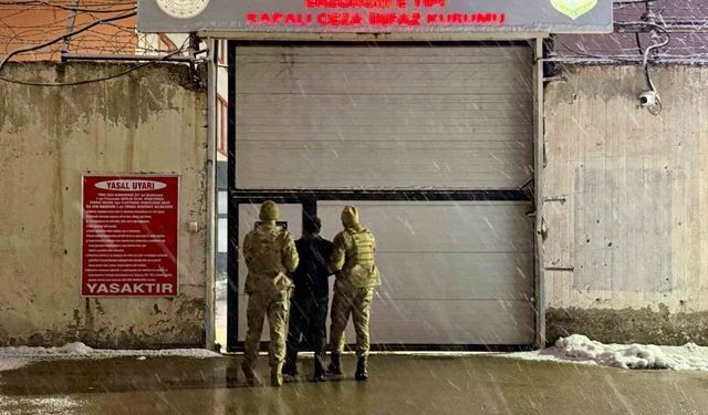 Jandarmadan düzensiz göçmen operasyonu; 7 düzensiz göçmen, 4 organizatör yakalandı