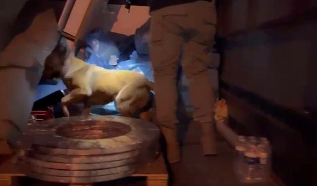 Marş dinamosundan uyuşturucu çıktı: Narkotik köpeği Pera'nın dikkati ele verdi