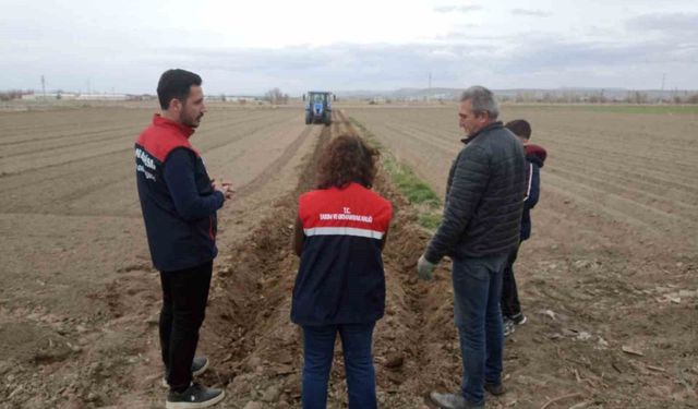 Patates ekimi sezonu başladı