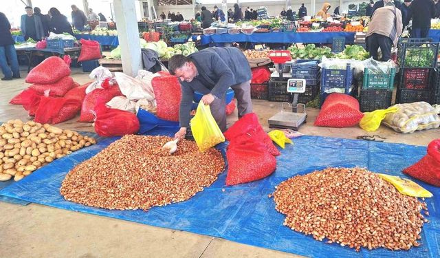 Tohumluk kuru soğanda üretim arttı, fiyat 150 liradan 100 liraya düştü