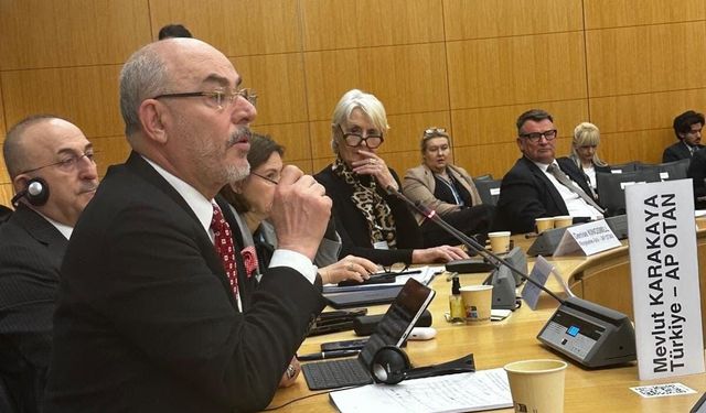 MHP’li Karakaya’dan OECD’de Küresel Ekonomi Çıkışı