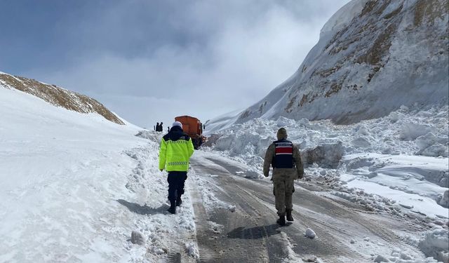 Bitlis'te kara yoluna düşen çığ temizlendi