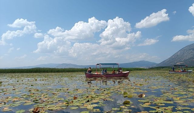 Işıklı Gölü'nde nilüfer çiçeği turları 1 Mayıs'ta başlayacak