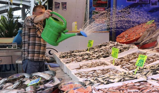 Rize'de istavritin kilogramı 200 liradan satılıyor