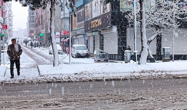 Van ve Bitlis'te kar etkili oldu