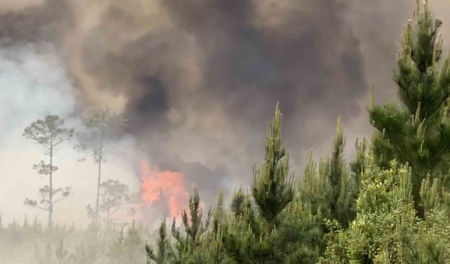 ABD'de orman yangınları: 54 ev ve 27 bin dönümlük alan küle döndü