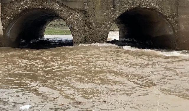 Ağrı'da kar suyu dereleri coşturdu