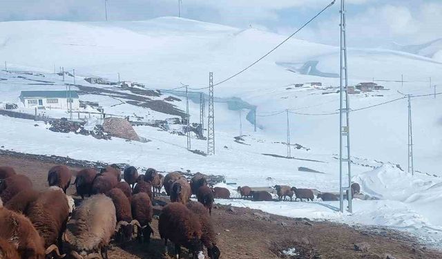 Ağrı'da Nisan ayında kar yağışı yolları kapattı