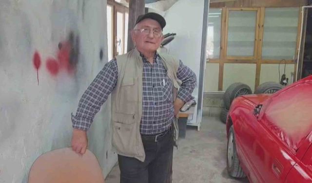 Ahırdan kaçan danalar oto tamirciyi bastı, görgü tanığı o anları anlattı: 'Nazikçe geldiler, nazikçe gittiler'