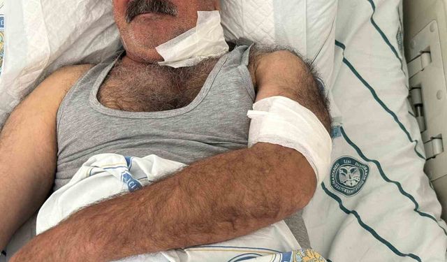 At sahibini boğazından ısırarak ağır yaraladı