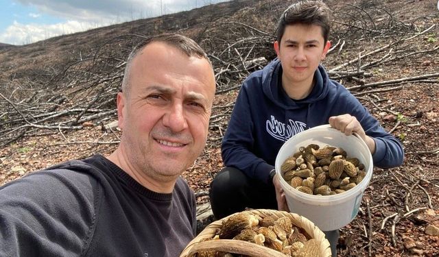 Baba ve oğlunun yüzünü güldüren mantar avı