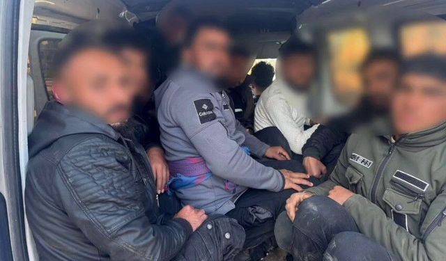 Göçmenler balık istifi gibi taşınırken yakalandılar