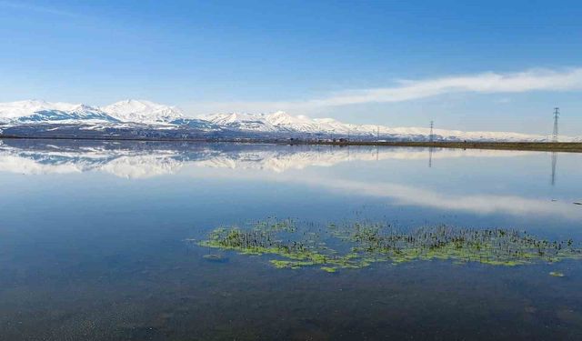 Meteorolojiden zirai don uyarısı