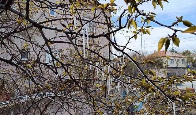 Yozgat'ta çiftçiler zirai don tehlikesine karşı uyarıldı