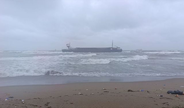 Sakarya'da kuru yük gemisi karaya oturdu