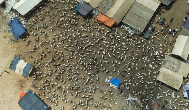 Senegal'de Kurban Bayramı hareketliliği başladı