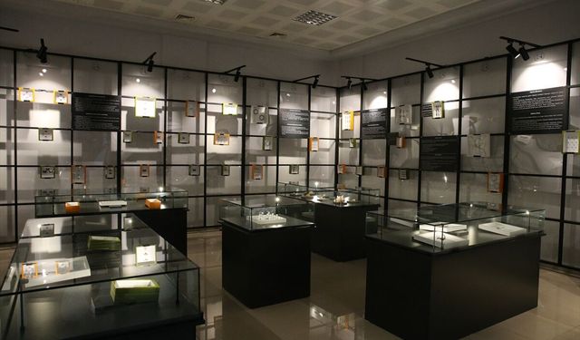 Üniversitenin biyoçeşitlilik müzesinde 15 bin böcek ile 25 tür hayvan sergileniyor