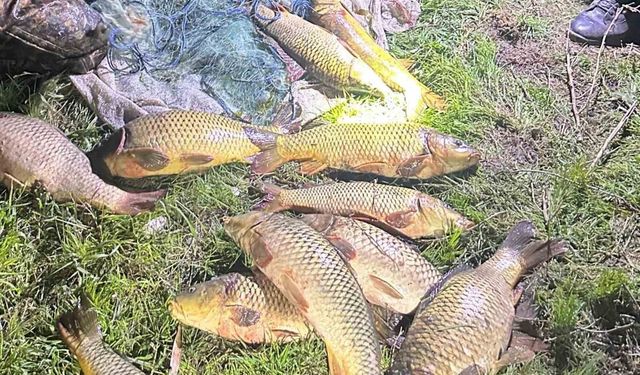 Eğirdir Gölü'nde kaçak avcılara suçüstü: 100 kilo sazan yeniden göle bırakıldı