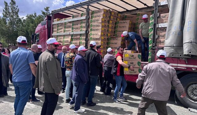 Erzincan'da 220 üreticiye 779 bin 520 sebze fidesi dağıtıldı