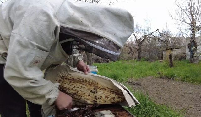 Kars'ta dede mesleği yaşatılıyor: Arıcılık sezonu başladı