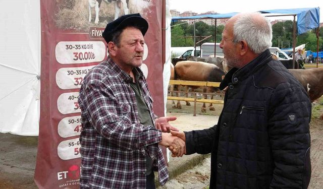 Ordu'da besiciler, gurbetçilerin yolunu gözlüyor