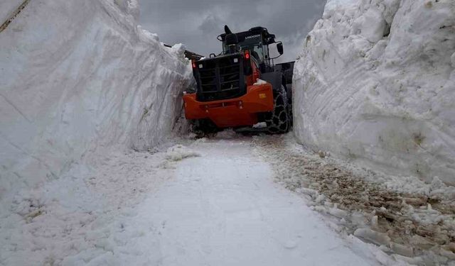 Rize'de karla kaplı yayla yolları tek tek ulaşıma açılıyor