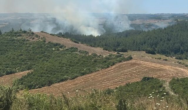 Adana'da park halindeki araçta çıkan yangın ormanlık alana sıçradı
