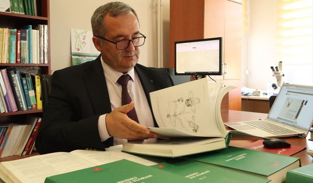 Anadolu'nun bitki zenginliği Türkçe isimlerle geleceğe taşınıyor