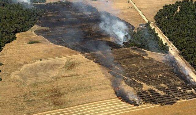 Çanakkale'de tarım arazisinde çıkan yangın söndürüldü