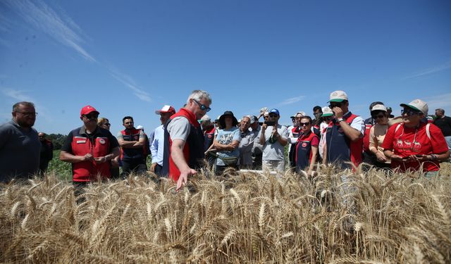 Çanakkale'de yerli 13 buğday ve 9 arpa çeşidi üreticiye tanıtıldı