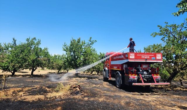 Malatya'da 6 ilçede çıkan yangınlar kayısı bahçeleri ve ormanlık alanlara zarar verdi