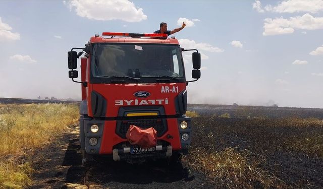 Mardin'de buğday ve arpa ekili alanda çıkan yangın söndürüldü