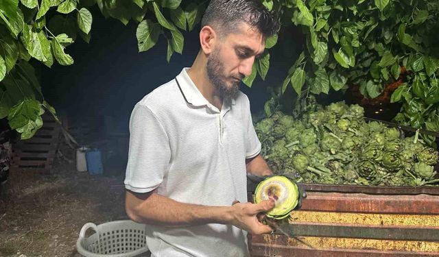 Ailecek enginar soyucular: Soyması 10 saniye sürüyor