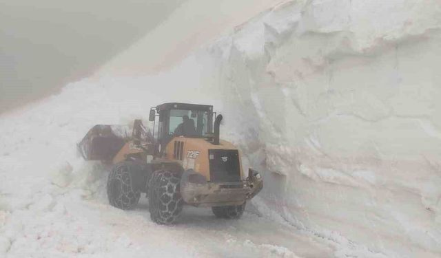 Artvin'de haziran ayında kar mesaisi