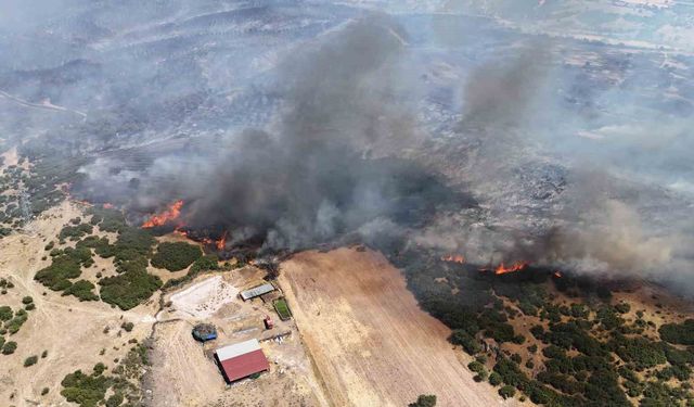 Çanakkale için kritik 4 gün: Yangın riski yüksek
