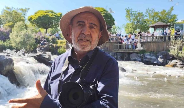 İnci kefali göç yolculuğu muhteşem şölen sunuyor