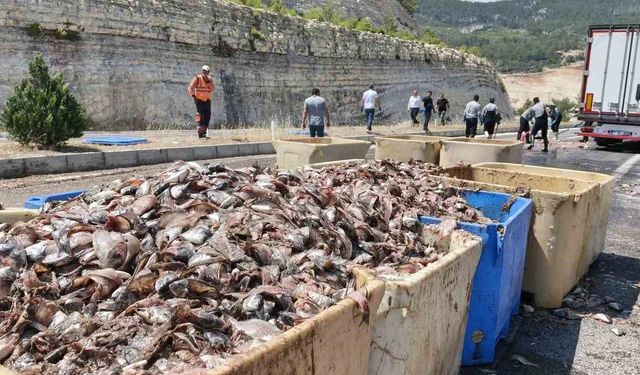 Seyir halindeki tırın dorsesi patladı, 15 ton balık atığı yola saçıldı