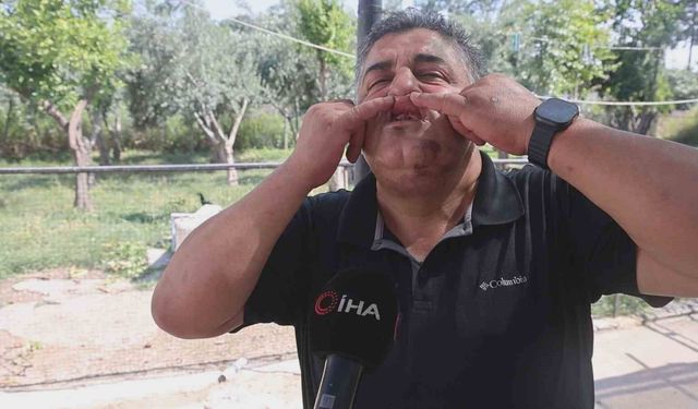 Traktörle yol kesip, kuyumcuya meydan dayağı atan kardeşlere 420 bin TL ceza