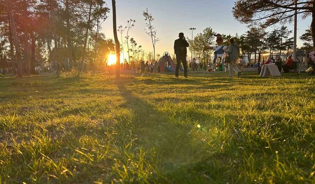 Uzmanlardan kene uyarısı: 'Bilinçsiz müdahale riski artırıyor'