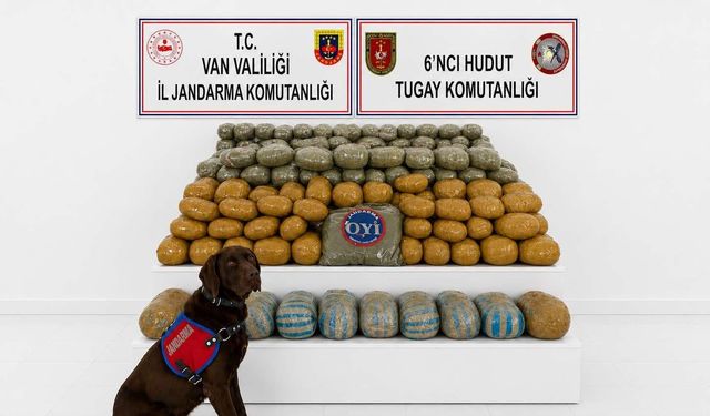 Van'da 291 kilogram toz esrar ele geçirildi