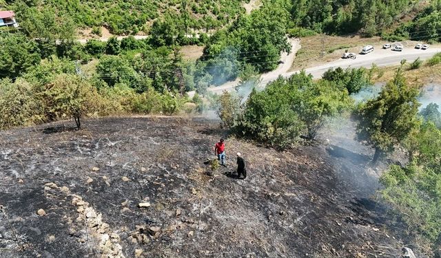 Adana'nın Feke ilçesinde çıkan orman yangını kontrol altında