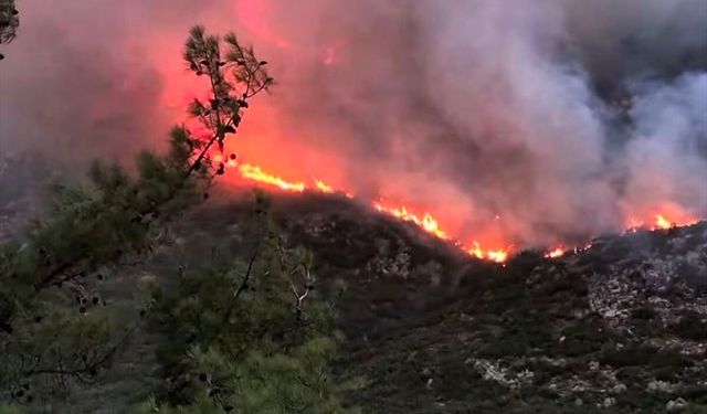 Antalya'nın Kaş ilçesinde orman yangını başladı